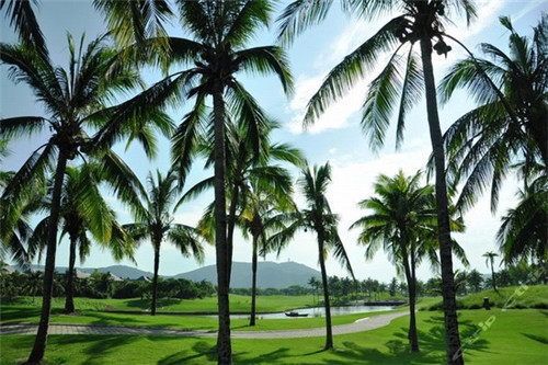 包子加盟品牌哪家靠譜加盟流程快 包子加盟品牌哪家靠譜加盟流程快