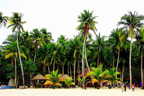 營山縣創業電燉紫砂鍋加盟10大品牌有哪些