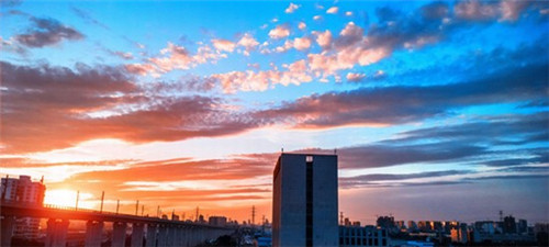 心里反應是什么意思 心里反應是什么意思