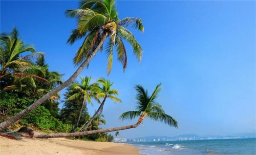 長治市餐巾紙加盟有哪些品牌